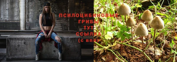 мет Алзамай