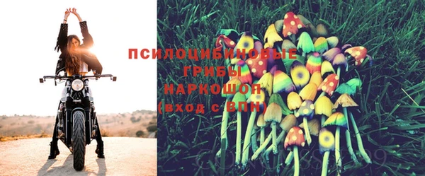 спайс Алексеевка