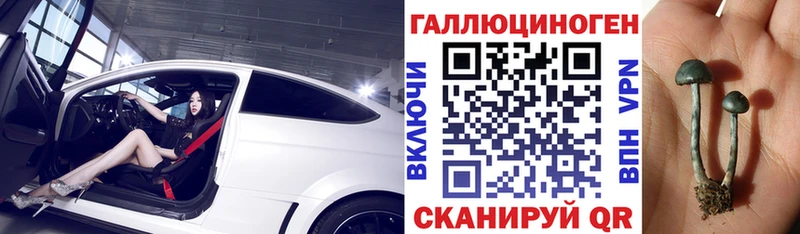 где купить   Уссурийск  Псилоцибиновые грибы Cubensis 